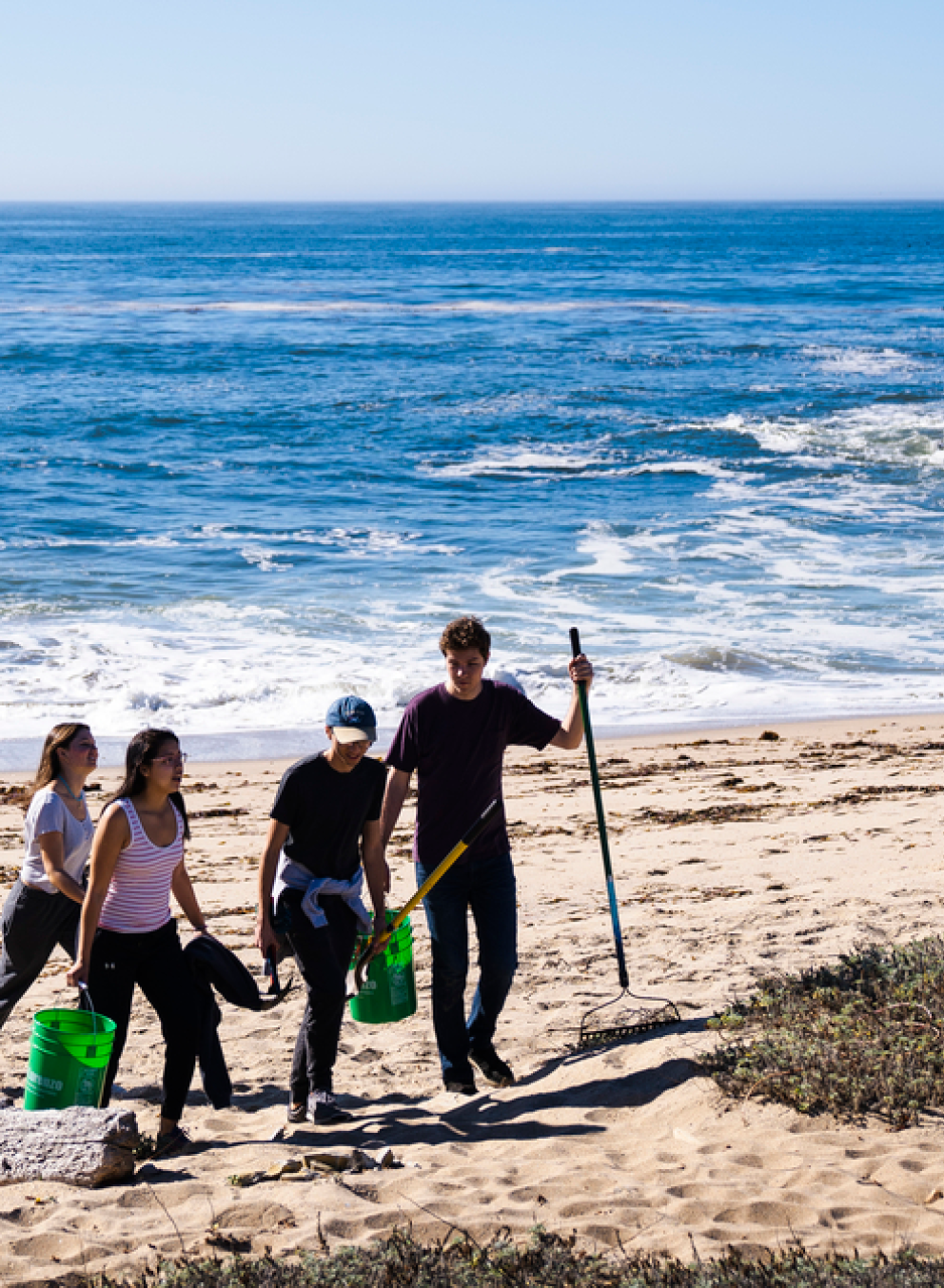 Environmental Sciences